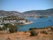 Le St Trop Turque
