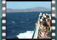 Sortie pour KOS